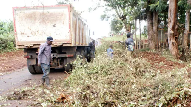 Workers clearing vegetation in Othaya, Kenya