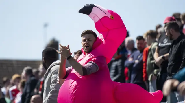 Rotherham flamingo man