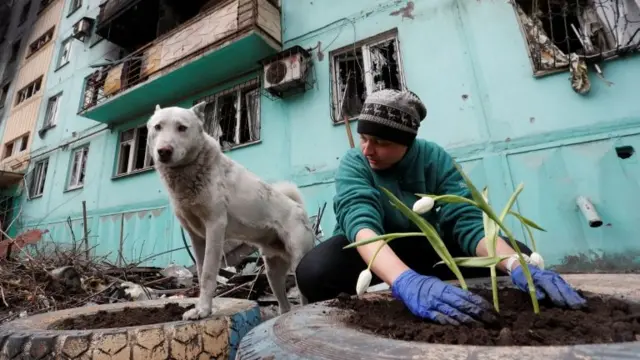 A Ukrainian plants flowers outside a damaged building in Mariupol