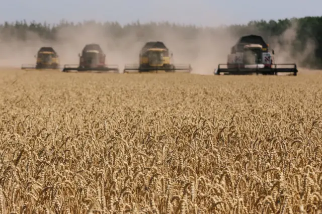 Harvesting combines in the fields of Novovodolazhsky district of Kharkiv region, Ukraine - July 2017