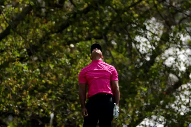 Tiger Woods