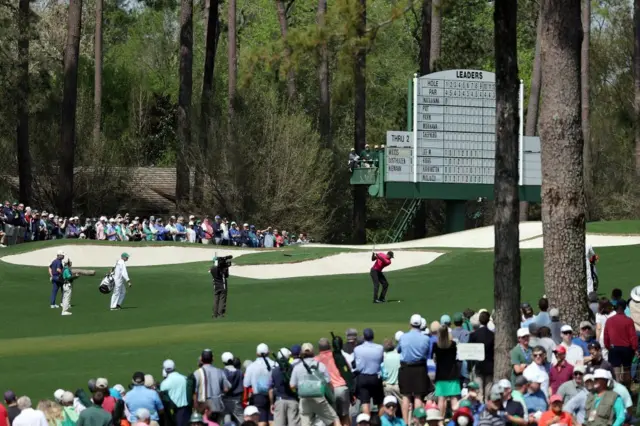 Tiger Woods
