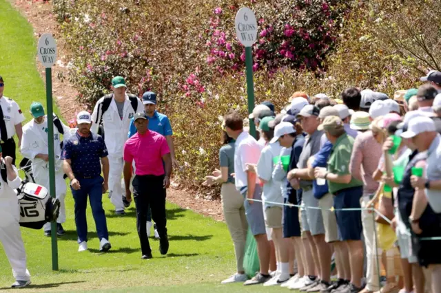 Tiger Woods