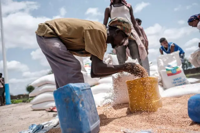 Man putting wheat into a container in Tigray region