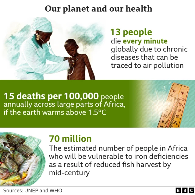 Infographic showing stats that 13 people die every year from chronic illness that can be linked back to air pollution. There will be 15 deaths per 100,000 people annually across Africa if earth warms above 1.5 degrees.