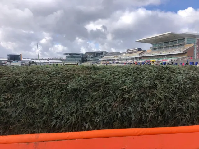 The Chair at Aintree