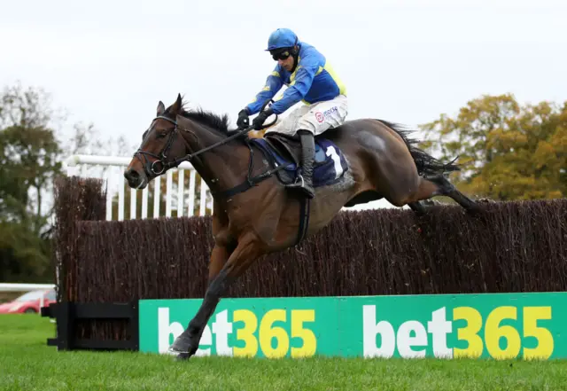 Harry Skelton on Shan Blue