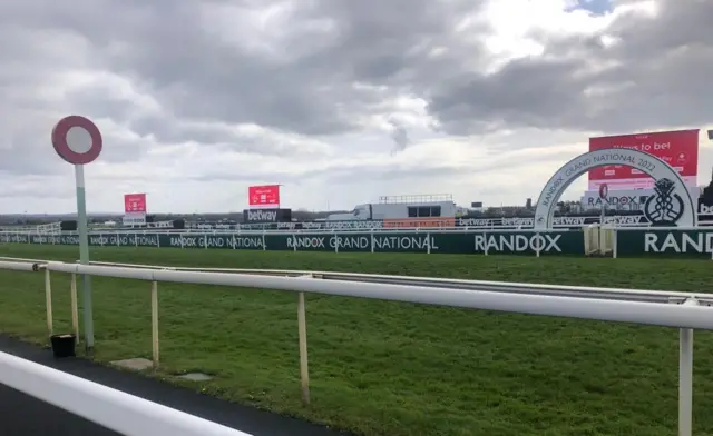 Winning line at Aintree