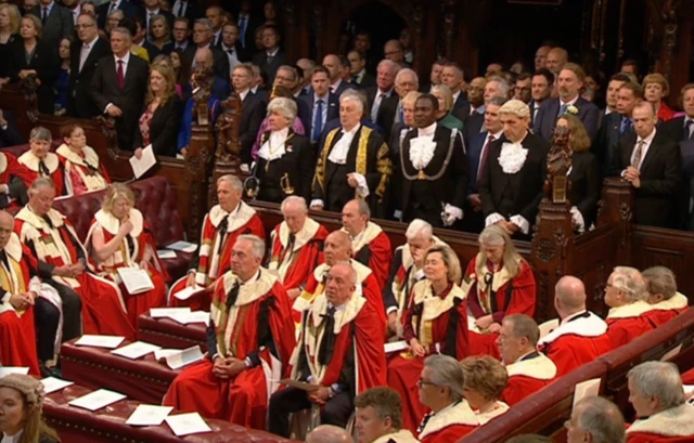 Peers in the House of Lords