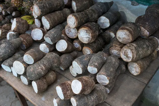 Cocoyams for sale in a market.