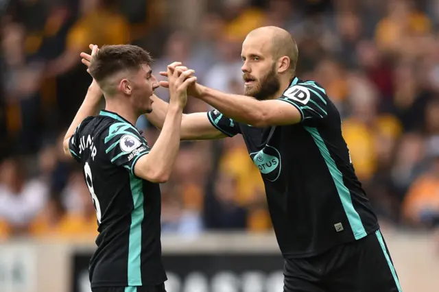 Teemu Pukki, Norwich, Wolverhampton Wanderers