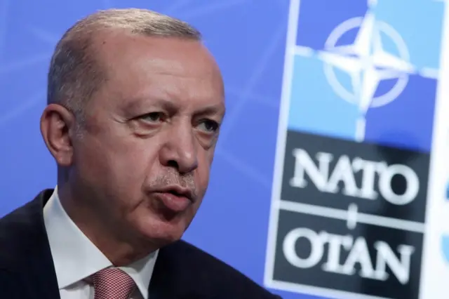 Turkey's President Tayyip Erdogan holds a news conference during the Nato summit in Brussels in June 2021