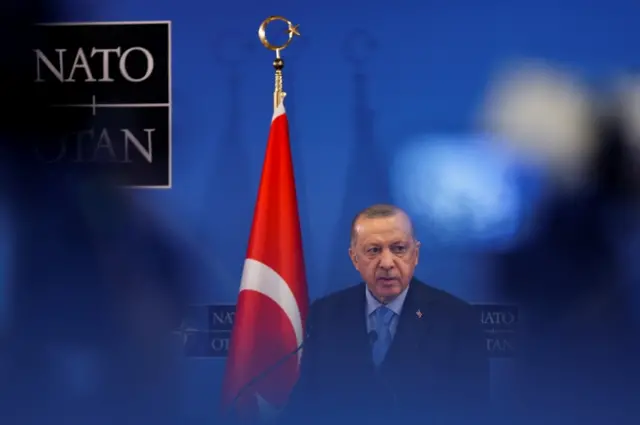 Turkey's President Tayyip Erdogan