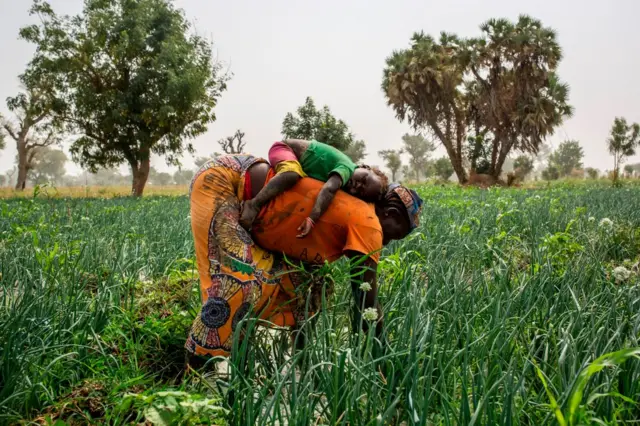 A worker picks onions with a baby on her back in northern Cameroon, in 2020.