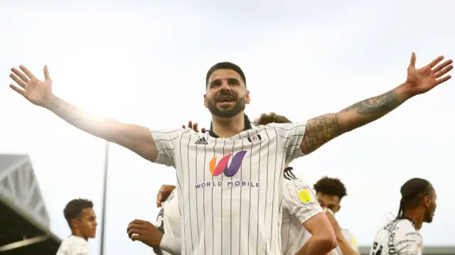 Aleksandar Mitrovic