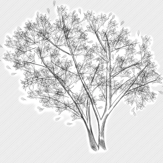 Illustration of a fig tree