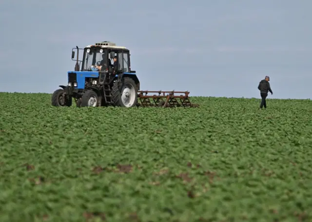 People work on a sunflower field at a farm in Odesa