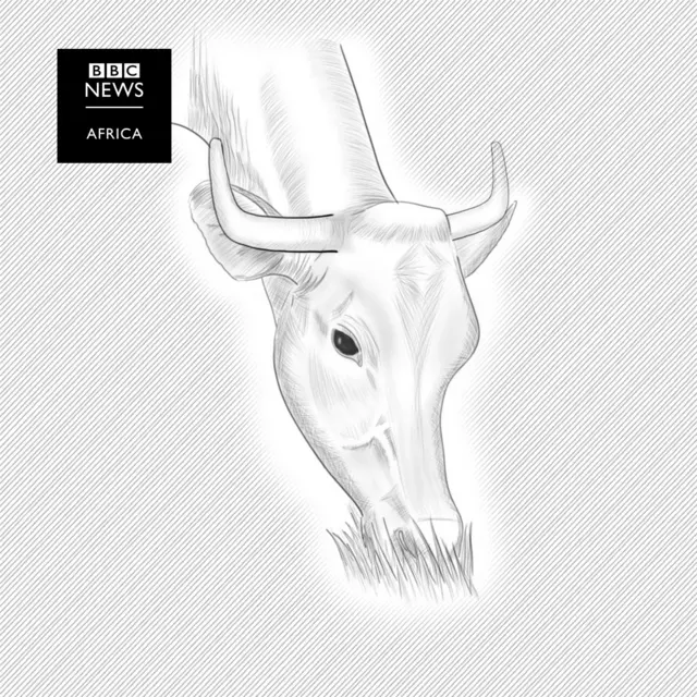 A drawing of a bull