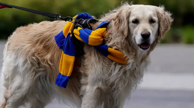 Mansfield Town fan