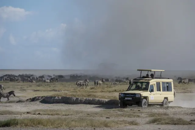 Zebra in Ngorongoro area of Serengeti national park