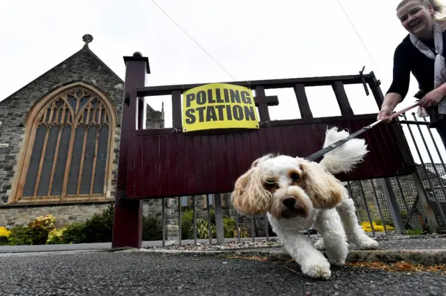 A dog with its owner outside a polling station in Northern Ireland