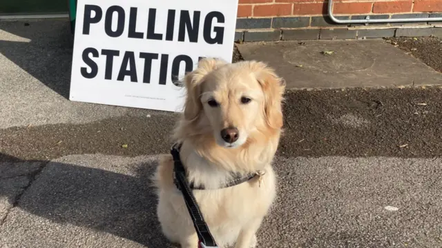 A dog in front of a polling station sign
