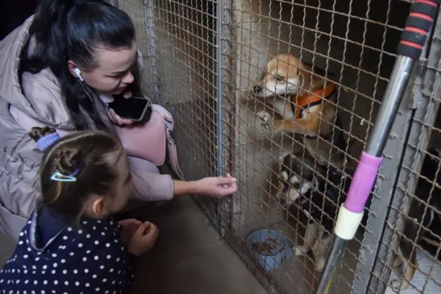 A woman and child say hello to two dogs