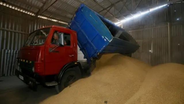 A truck unloads at a grain store during barley harvesting in the Kyiv region