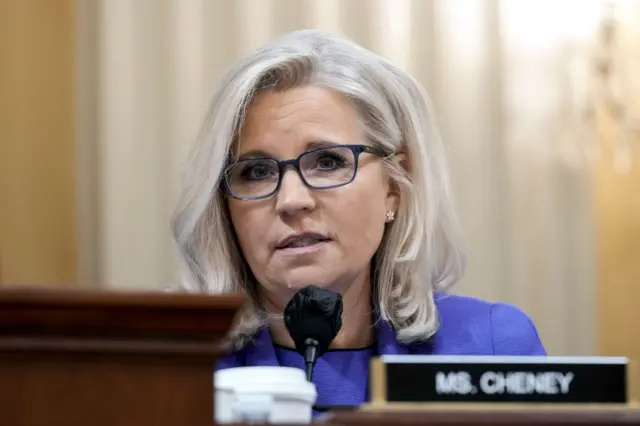 Republican Liz Cheney