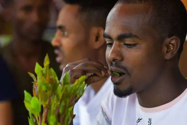 A man chews khat.