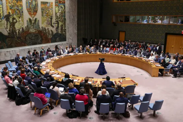 A general view of Security Council meeting