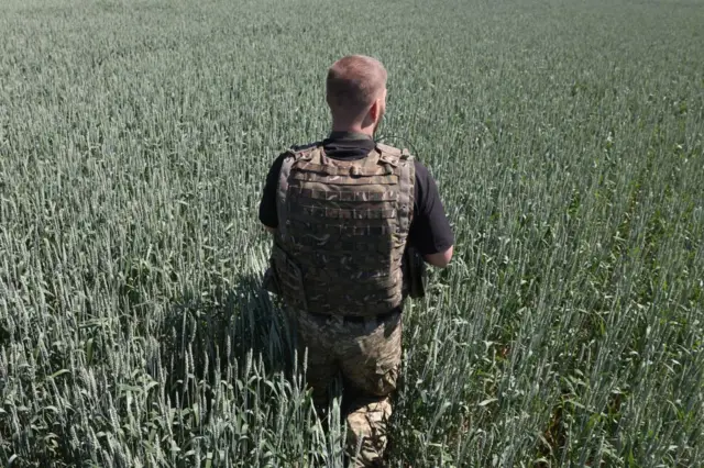 A Ukrainian serviceman attends at wheat field on the front line in the Donetsk region of Ukraine