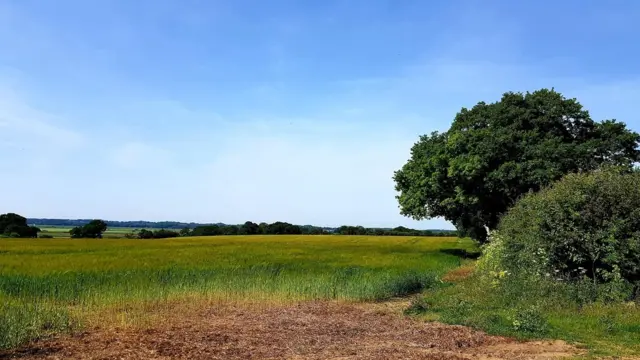 Clear blue sky in Herringfleet, Suffolk