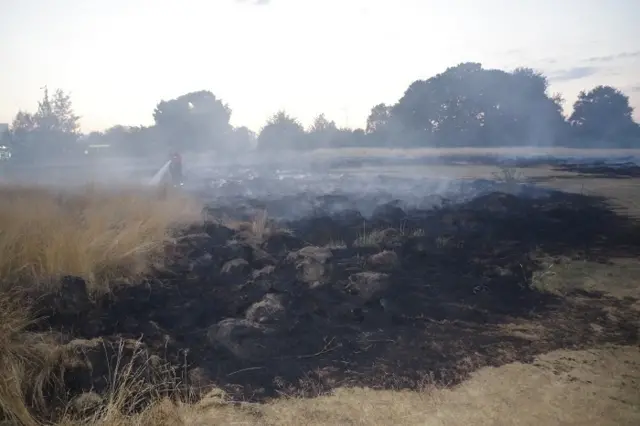 Firefighters dampen down the scene of a grass fire