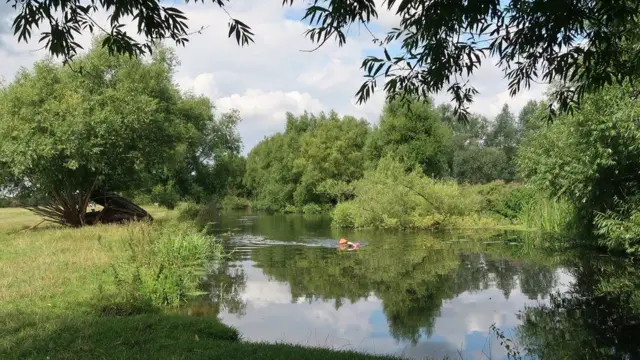 An open water swimmer