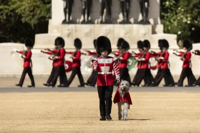 Trooping the colour rehearsal