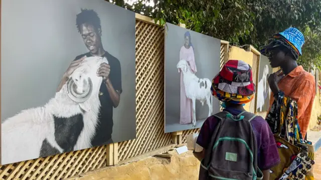 People visit a photo exhibition about sheep in Dakar, Senegal - 1 June 2022