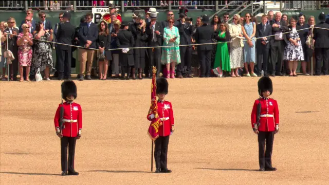 The Colour of the Irish Guards