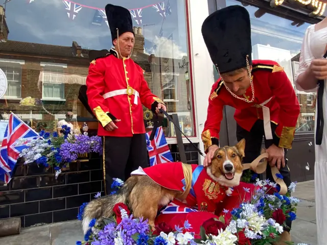 Rufus the dog takes part in a corgi parade in Columbia Road in London on a carriage after he broke his paw