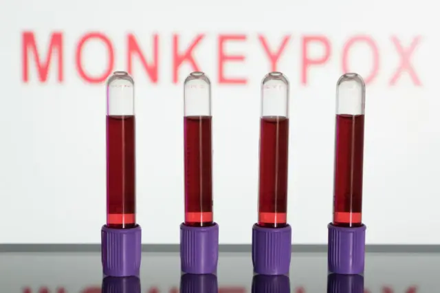 Blood test vials are seen in front of a screen that says ''Monkeypox''