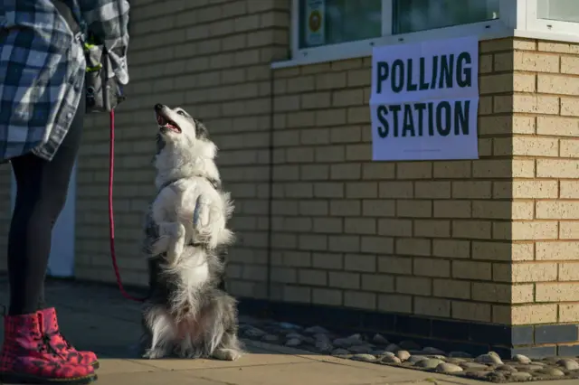 Dog at a polling station in Wakefield