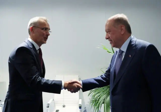 Nato chief Jens Stoltenberg shakes hands with Turkey's President Erdogan