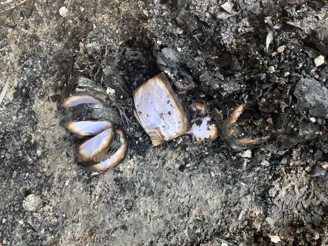 Books with scorched pages scattered on the floor