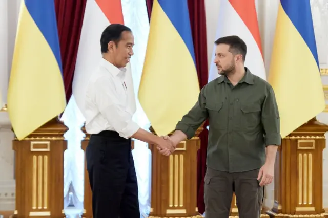 Joko Widodo and Volodymyr Zelensky in Kyiv on Wednesday