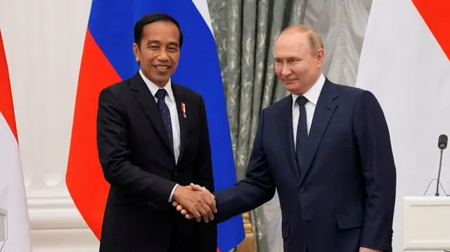 Putin and Indonesian President Joko Widodo