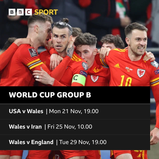 Wales World Cup fixtures