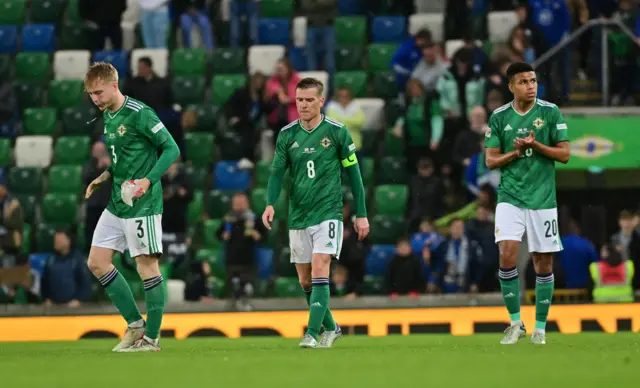 Northern Ireland fall to defeat at home to Greece