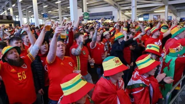 Wales fans