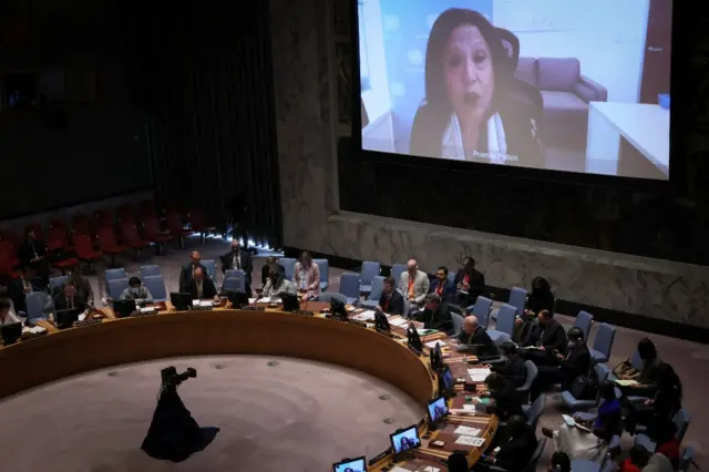 Pramila Patten addresses the UN Security Council by videolink