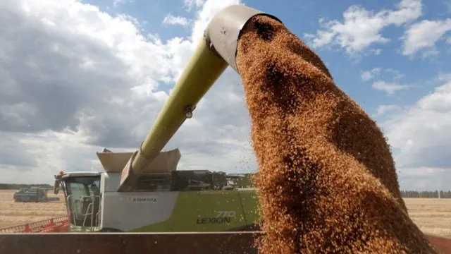 A combine harvester loads a truck with wheat in a field near the village of Hrebeni in the Kyiv region, Ukraine, in July 2020